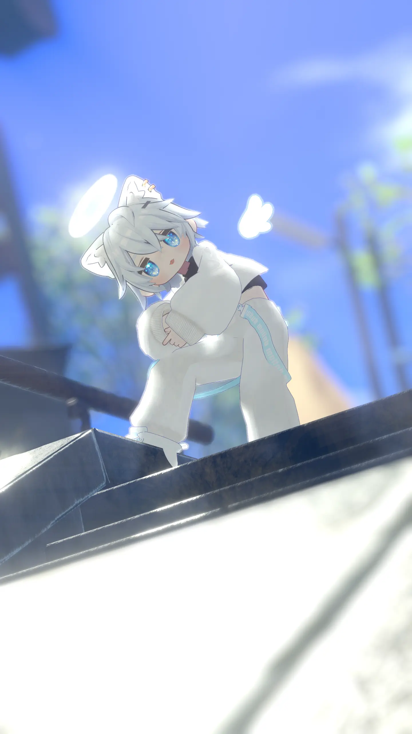 写真 1